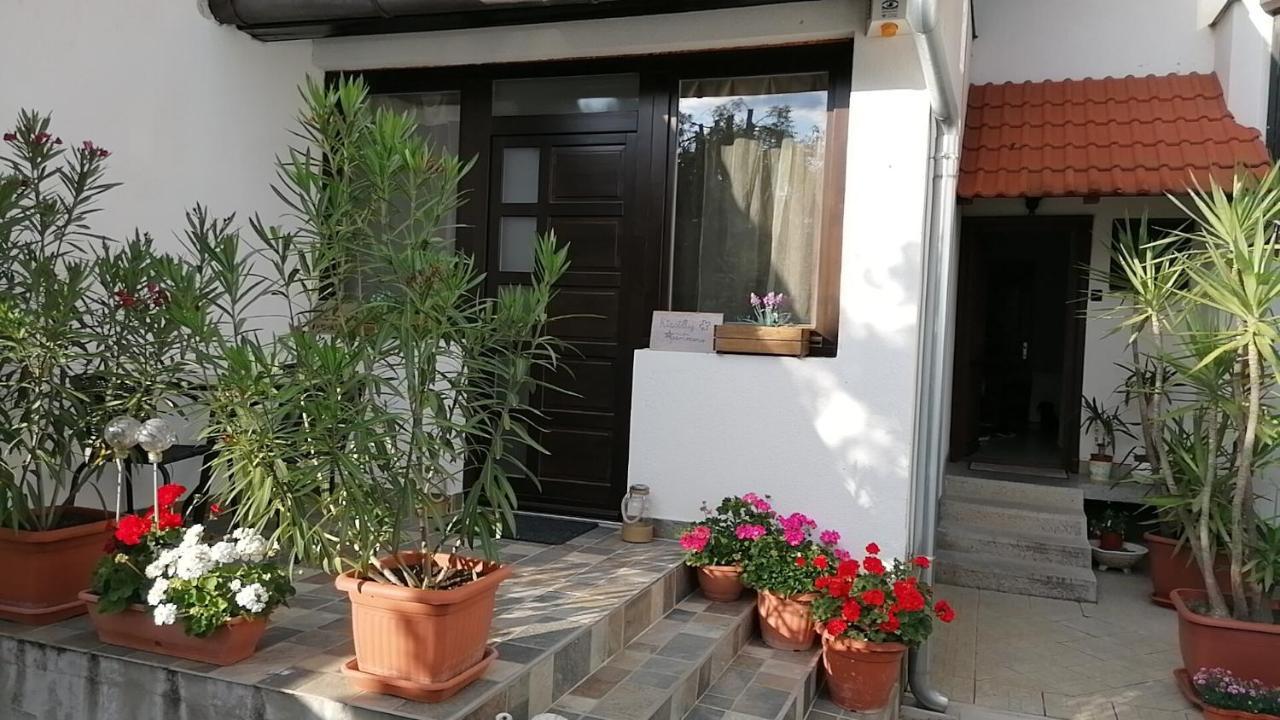Kiscsillag Apartman Apartment ฮอร์กานี ภายนอก รูปภาพ
